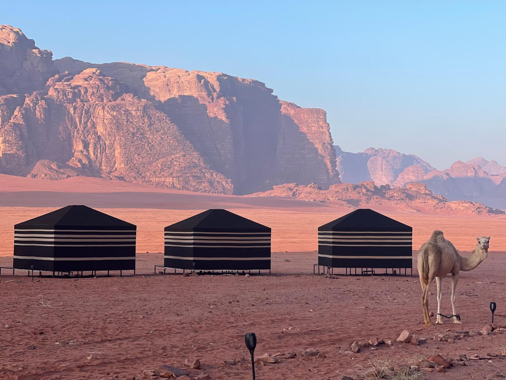 Desert Bird Camp Ουάντι Ραμ Εξωτερικό φωτογραφία