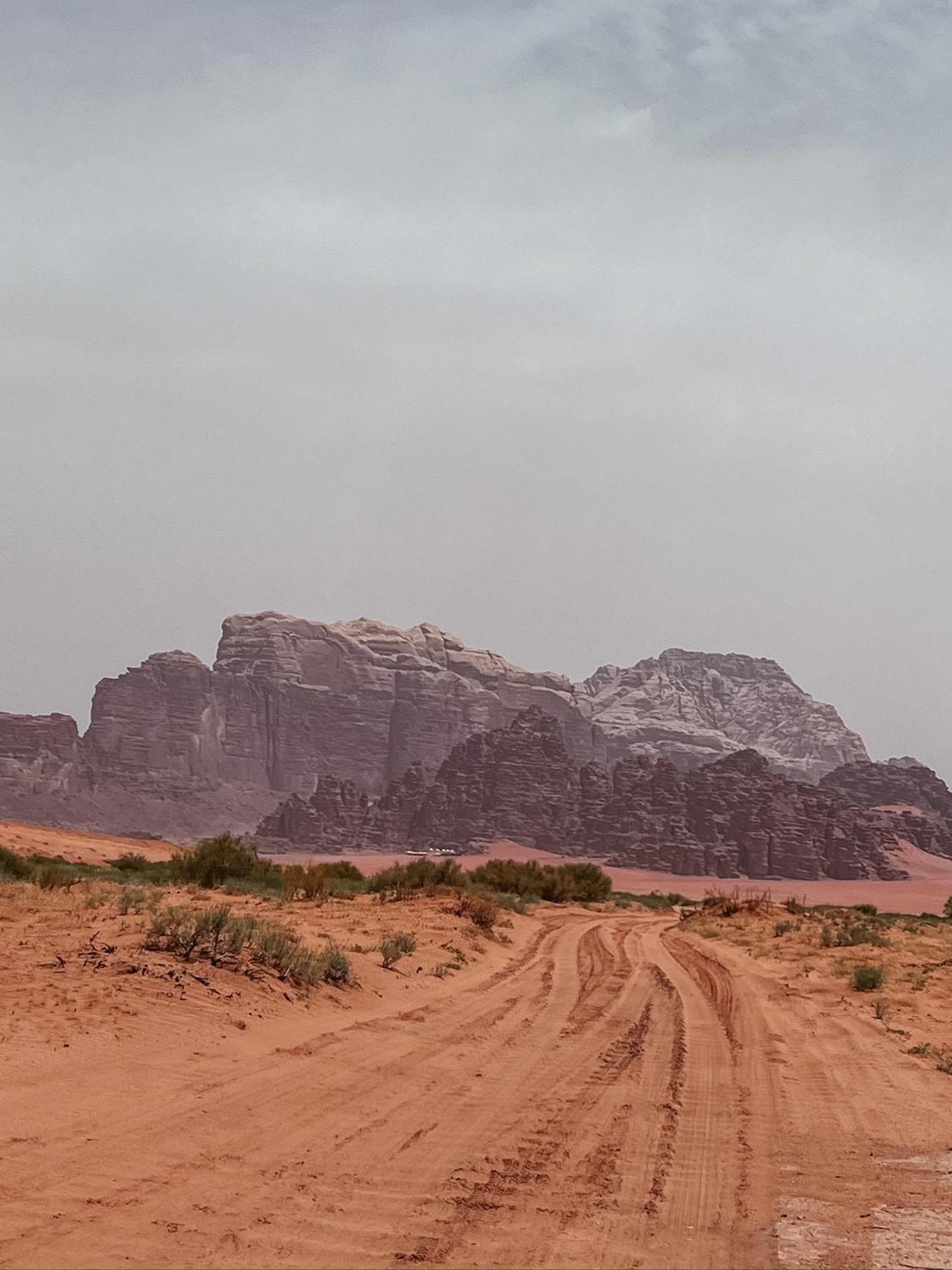 Desert Bird Camp Ουάντι Ραμ Εξωτερικό φωτογραφία