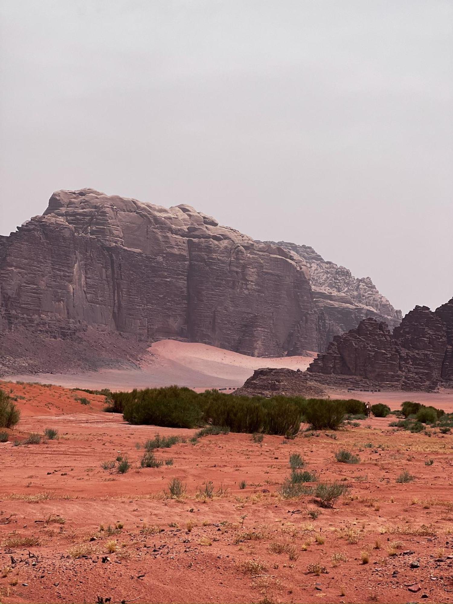 Desert Bird Camp Ουάντι Ραμ Εξωτερικό φωτογραφία