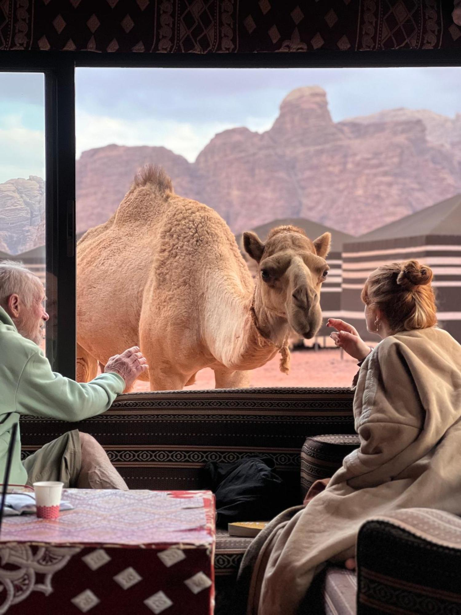 Desert Bird Camp Ουάντι Ραμ Εξωτερικό φωτογραφία